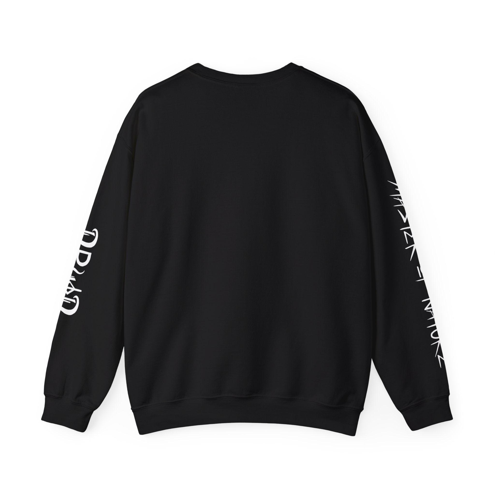 DRUID GRAPHIC CLASS SWEATSHIRT