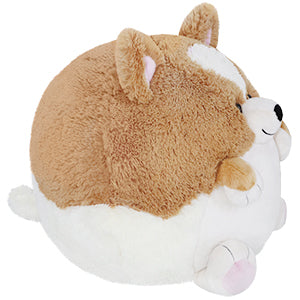 Squishable Corgi