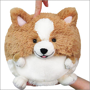 Mini Squishable Corgi